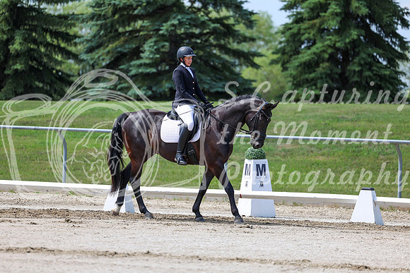 2025 - Dressage Festival - Saturday July 5th - 07081