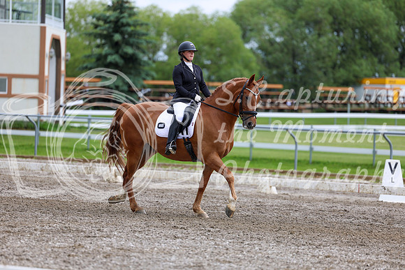 2025 - Dressage Festival - Sunday July 6th - 11081