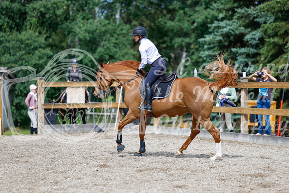 2025 - Haylee - Picco Horse Show - Thursday July 24th 01854