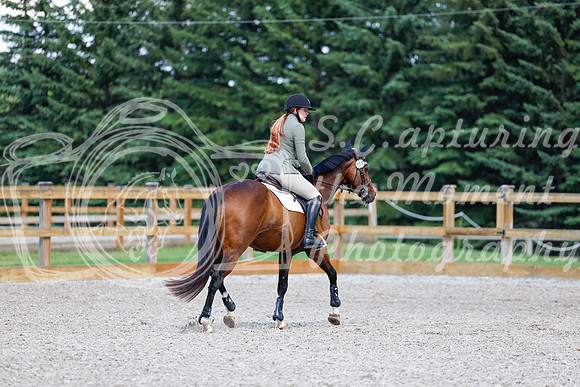 2025 - Haylee - Picco Horse Show - Sunday July 27th 05259