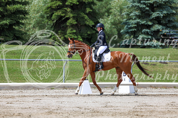 2025 - Dressage Festival - Saturday July 5th - 07985