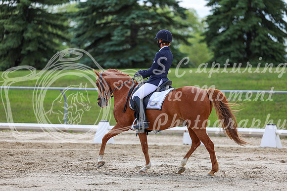 2025 - Dressage Festival - Saturday July 5th - 13794