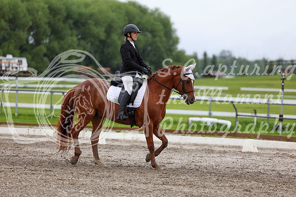 2025 - Dressage Festival - Sunday July 6th - 06093