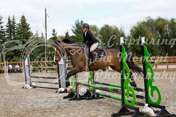 2025 - Haylee - Picco Horse Show - Saturday July 26th 03300