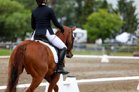 2025 - Dressage Festival - Sunday July 6th - 12197