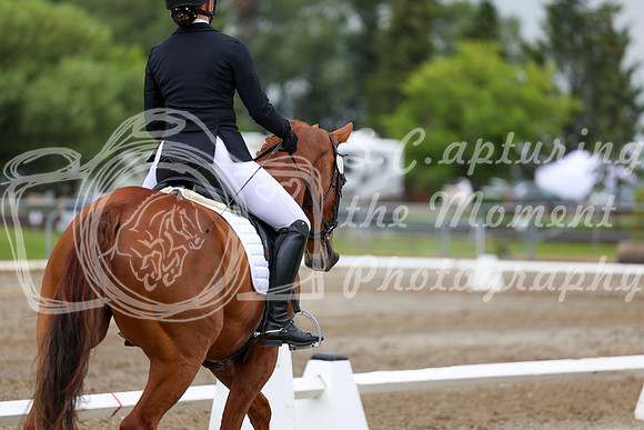 2025 - Dressage Festival - Sunday July 6th - 12197