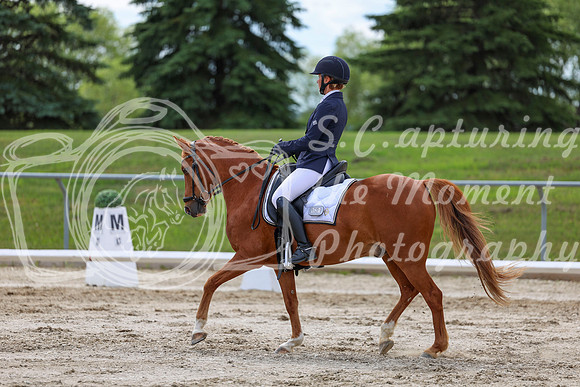 2025 - Dressage Festival - Saturday July 5th - 13789