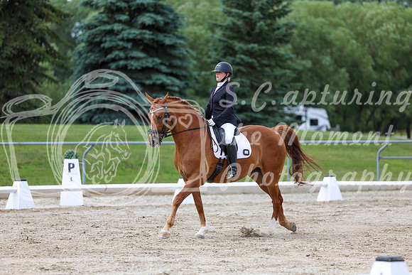 2025 - Dressage Festival - Saturday July 5th - 11178