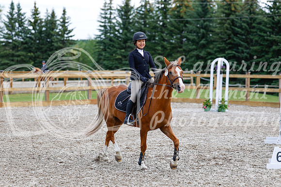 2025 - Haylee - Picco Horse Show - Saturday July 26th 02307