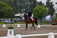 2025 - Dressage Festival - Sunday July 6th - 00342