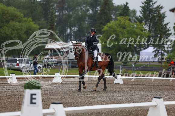 2025 - Dressage Festival - Sunday July 6th - 00342