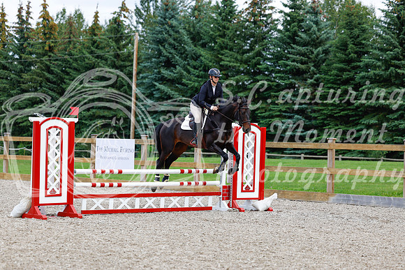 2025 - Haylee - Picco Horse Show - Saturday July 26th 05700