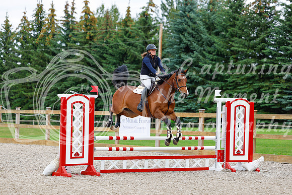 2025 - Haylee - Picco Horse Show - Saturday July 26th 05530