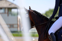 2025 - Dressage Festival - Saturday July 5th - 03553
