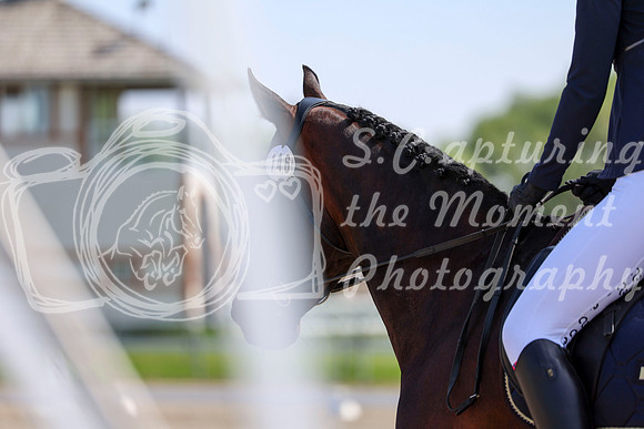 2025 - Dressage Festival - Saturday July 5th - 03553