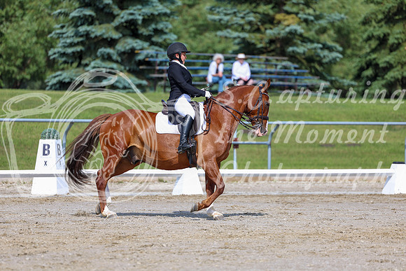 2025 - Dressage Festival - Saturday July 5th - 02671