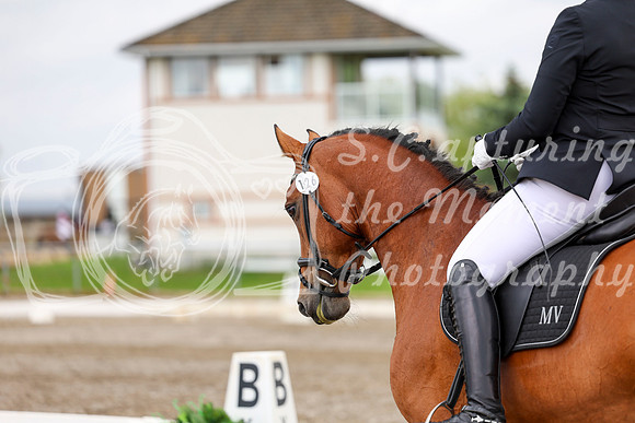 2025 - Dressage Festival - Sunday July 6th - 11693