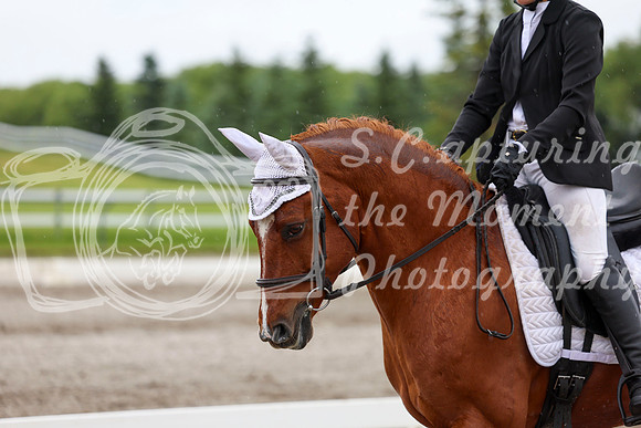 2025 - Dressage Festival - Sunday July 6th - 06080