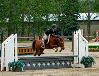 Pony