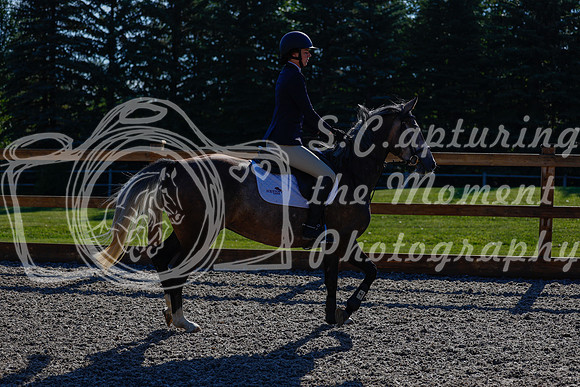 2025 - Haylee - Picco Horse Show - Thursday July 24th 00157