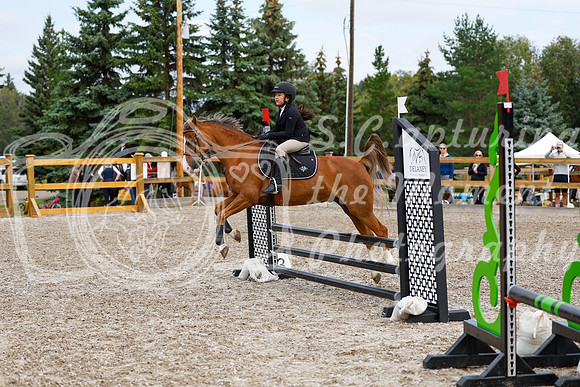2025 - Haylee - Picco Horse Show - Saturday July 26th 02333