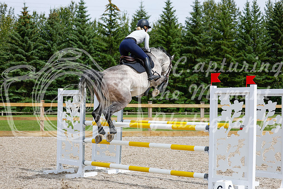 2025 - Haylee - Picco Horse Show - Friay July 25th 04406