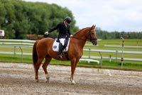 2025 - Dressage Festival - Sunday July 6th - 11085