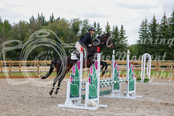2025 - Haylee - Picco Horse Show - Saturday July 26th 05246