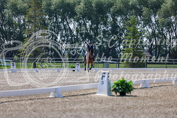 2025 - Dressage Festival - Saturday July 5th - 02372
