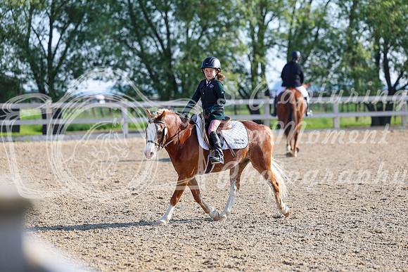 2025 - Dressage Festival - Saturday July 5th - 00006