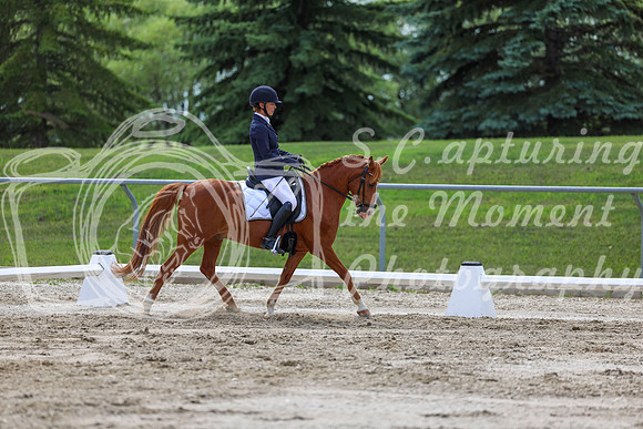 2025 - Dressage Festival - Saturday July 5th - 13798