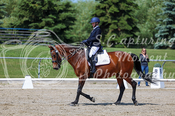 2025 - Dressage Festival - Saturday July 5th - 05664
