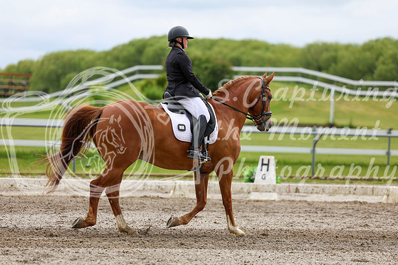 2025 - Dressage Festival - Sunday July 6th - 11106