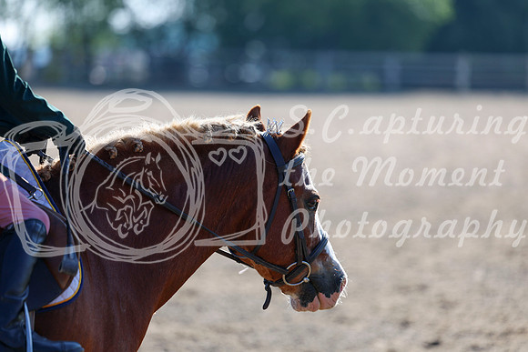 2025 - Dressage Festival - Saturday July 5th - 00021