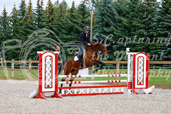 2025 - Haylee - Picco Horse Show - Saturday July 26th 06016