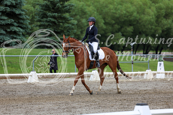 2025 - Dressage Festival - Sunday July 6th - 12265