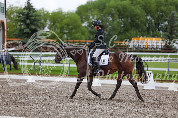 2025 - Dressage Festival - Sunday July 6th - 01687