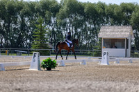 2025 - Dressage Festival - Saturday July 5th - 02356