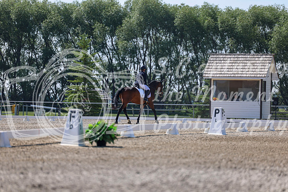 2025 - Dressage Festival - Saturday July 5th - 02356
