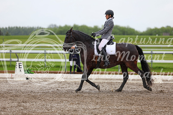 2025 - Dressage Festival - Sunday July 6th - 07013
