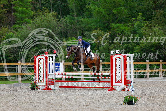 2025 - Haylee - Picco Horse Show - Sunday July 27th 03777