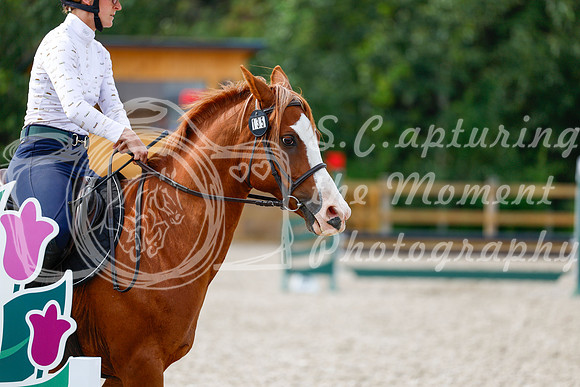 2025 - Haylee - Picco Horse Show - Thursday July 24th 01574
