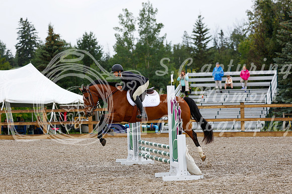 2025 - Haylee - Picco Horse Show - Sunday July 27th 00472