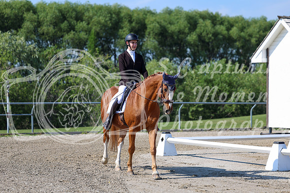 2025 - Dressage Festival - Saturday July 5th - 01643