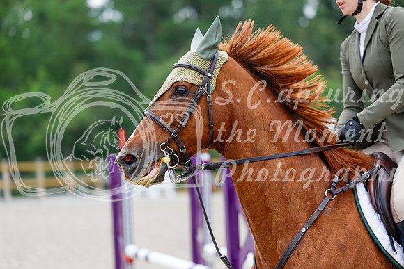 2025 - Haylee - Picco Horse Show - Saturday July 26th 04791