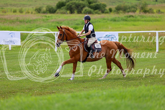 2025 - Shea - Teesdale - Thursday July 24th - 04261