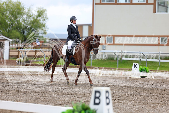 2025 - Dressage Festival - Sunday July 6th - 09572