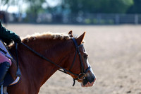 2025 - Dressage Festival - Saturday July 5th - 00019