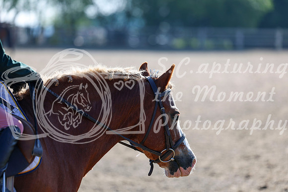 2025 - Dressage Festival - Saturday July 5th - 00019