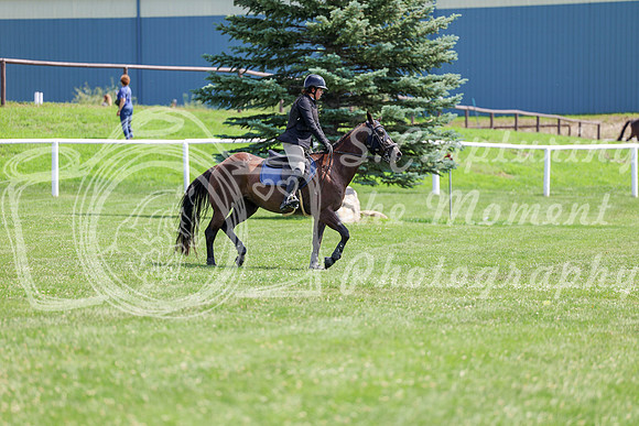 2025 - Shea - Teesdale - Thursday July 24th - 00900